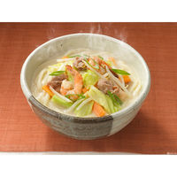 ヒガシマル ちゃんぽんうどんスープ 5箱