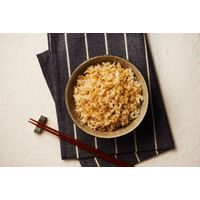 パックごはん18食 生姜プラス もち麦ごはん160g 18個幸南食糧