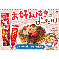 エスビー食品 紅しょうが 10個