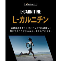 VAAM ヴァームアスリート 顆粒 パイナップル風味（10袋入） 3個 明治 アミノ酸