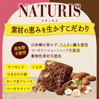 森永製菓 50gナチュリス＜ヘーゼルナッツとカカオ＞  3袋 ビスケット クッキー