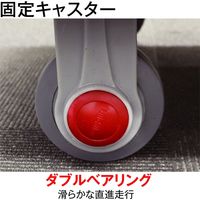 フローバル 樹脂台車 PLA-300LH(G) 1台