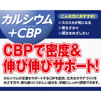 DHC カルシウム+CBP（60日分） 1セット（1袋（120粒）×2） ディーエイチシー サプリメント 栄養機能食品