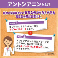 DHC 速攻ブルーベリー（20日分） 1セット（1袋（40粒）×3） ルテイン ディーエイチシー サプリメント