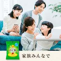 【ワゴンセール】ロッテ のど飴（袋）　2袋　キャンディ