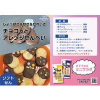 三幸製菓 ミニサラダ しお味　2枚×12袋入 3個　せんべい　あられ 個包装 お配り
