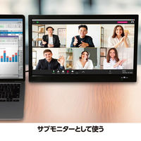 ダイアモンドヘッド 14インチ録画機能付き ポータブルTV OT-PTV14TE 1台（直送品）