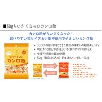 キャンディ 小粒 個包装 ちいさくなったカンロ飴 小粒 50g 1セット（1個×16）