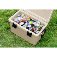 アイリスオーヤマ クーラーボックス CLー45 45L ベージュ 1個 ふたを外して洗える 抗菌加工（わけあり品）