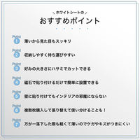 アスカ 抗菌ホワイトマグネットシート 暗線入り 1800×900mm 4L AWM10 1箱（わけあり品）