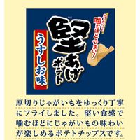 ポテトチップス 小袋 食べきりサイズ お配り菓子 おつまみ 堅あげポテト 人気2種アソート 15g×4連 1セット（1連×6）