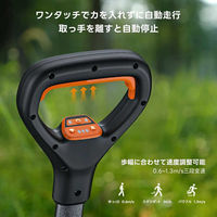 イチネンアクセス 電動キャリーワゴン W2 PRO 1台（直送品）