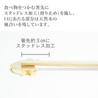 箸 子供用 ほんとうにすべらないお箸 子供用グレージュGY  1膳