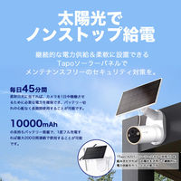 TP-LINK フルワイヤレスセキュリティカメラ TapoC460 1台