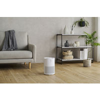 空気清浄機 10畳 AAP-S20C-W 1台