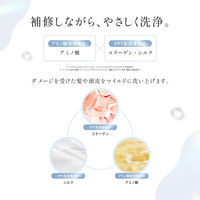 emplir(アンプリール) ウォーターベール モイストシャンプー 本体 420mL ＭＤ