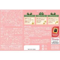 片岡物産 トワイニング アドベントティーカレンダー2025 1個(24バッグ入)