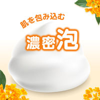 ダヴ（Dove）　ふわとろボディウォッシュ　キンモクセイ　ポンプ 450g 液体タイプ ユニリーバ