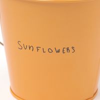 (世界の名作)ミニバケツ ひまわり 小物収納　LAKOLE/ラコレ