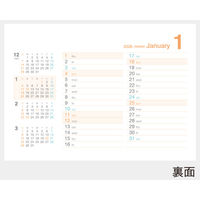 【アウトレット】【2026年度版カレンダー】杉本カレンダー クリアカラーカレンダー SGー9582 1部