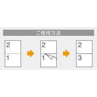 【アウトレット】【2026年度版カレンダー】山甚 カラーリング2マンス YGー273 1部