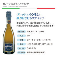 イタリアスパークリングワイン＆フリッツァンテ4本セット 1セット（750ml×4本）　モンテ物産（わけあり品）