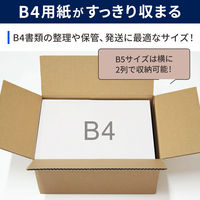 ノーブランド 底面B4 100サイズ ダンボール CB04-0010-AS 4573639424203 1セット(10枚入)（直送品）
