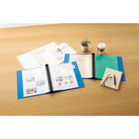 ライオン事務器 クリアーポケット 特厚 A4S 30穴 10枚入 CL-303ET 1冊（わけあり品）