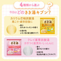 きき湯 炭酸入浴剤 バラエティパック 1パック（24包入） アース製薬