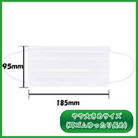 iiもの本舗 三層構造プリーツマスク 口元空間ドームタイプ やや大きめ 大容量 100枚入 4589596695884 1箱（直送品）