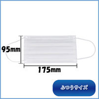 iiもの本舗 三層構造プリーツマスク 口元空間ドームタイプ ふつう 大容量 100枚入 4589596695891 1箱（直送品）