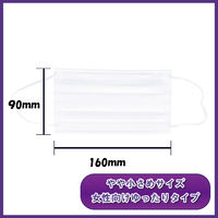 iiもの本舗 三層構造プリーツマスク 口元空間ドームタイプ やや小さめ 大容量 100枚入 4589596695907 1箱（直送品）