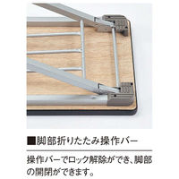 【軒先渡し】ニシキ工業 折りたたみテーブル 幅1500×奥行450×高さ700mm ローズ×シルバー AKU-1545A-RO 1台（直送品）