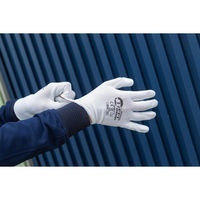 ハンボ ウレタン背抜き手袋10双組 L PE300-10P 1束（直送品）