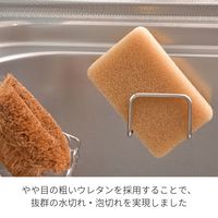 （季節・数量限定）亀の子スポンジ スタンダード 角型 カフェオレ キッチンスポンジ 抗菌・防カビ加工 1個 亀の子束子西尾商店