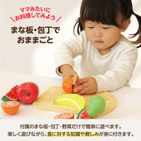 アーテック 木製おままごとセット くだもの ラッピング袋付き 21720 1袋（直送品）