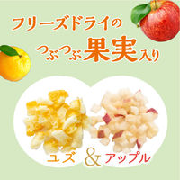 meito とけだす果実の紅茶 ユズ＆アップル 1個（5袋入）