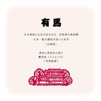 薬用入浴剤 旅の宿 薬用バスソルト 冷え性 疲労回復 発汗温浴 香草と茉莉花の香り 1箱（5包入）医薬部外品 クラシエ