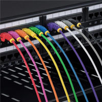Startech.com CAT6 LANケーブル スリム 15m パープル より線 ツメ折れ防止 N6PAT15MPLS 1個（直送品）