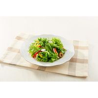 清水産業株式会社 ドロップポンプ 油 オイルポンプ 17960 1個（直送品）