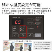 ダイニチ ハイブリッド式加湿器 7.0L 加湿量1200ml 木造20畳/プレハブ33畳 HD-LXC1200D(W) 1台