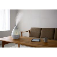 アピックスインターナショナル アピックス 超音波式アロマ加湿器original グリーン ASZー330 GR ASZ-330(GR) 1台