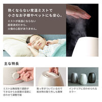 シロカ 5L加湿器 SDーC213(CH) パールグレージュ 1台