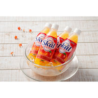 南日本酪農協同 スコールマンゴー 500ml 1箱（24本入）