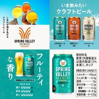 ビール クラフトビール アソート 飲み比べセット350ml 1セット(12本)