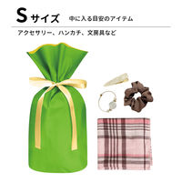 エスパック 簡単ギフトバッグ(梨地) S グラスグリーン 40枚入 NG-061-AS 1セット(40枚入)（直送品）