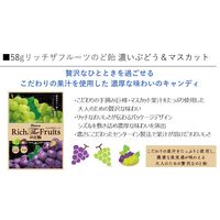 キャンディ 飴 のど飴 リッチザフルーツのど飴 濃いぶどう＆マスカット 58g 1セット（1個×5）