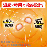 めぐりズム 蒸気めぐる足シート 贅沢めぐり体験 無香料 1セット（6枚入×2箱） 花王