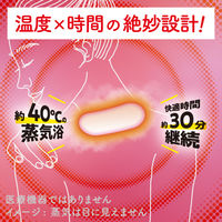 めぐりズム 蒸気めぐる首もとシート グッドナイト 贅沢めぐり体験 無香料 1セット（12枚入×2箱） 花王