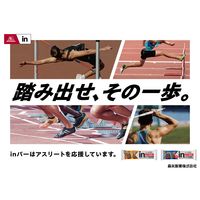 inバー（インバー） プロテイン　ザクザクビター 1 セット（6本）　森永製菓　タンパク質16g　チョコバー